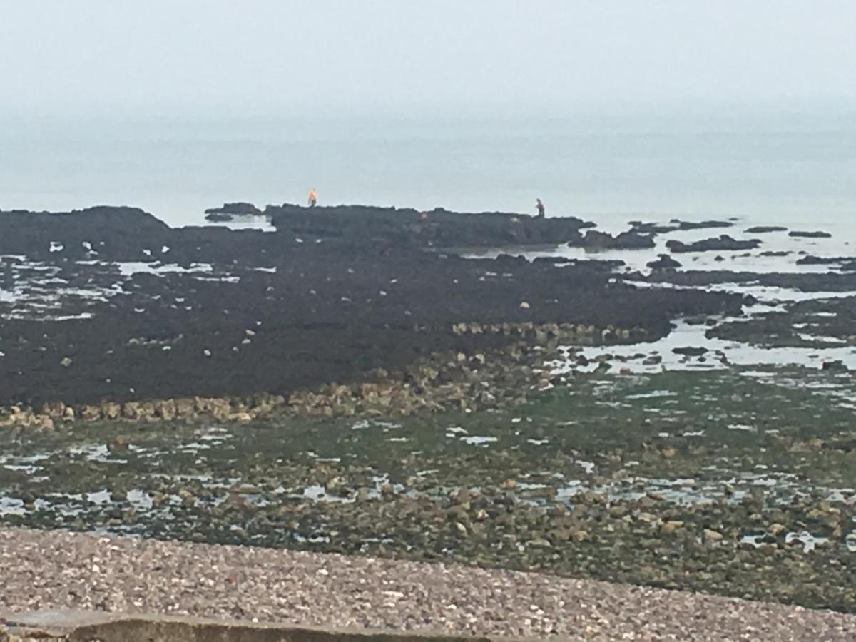 Appartement Les Mouettes, à moins de 50 Métres de la plage à Veulettes-sur-Mer Extérieur photo